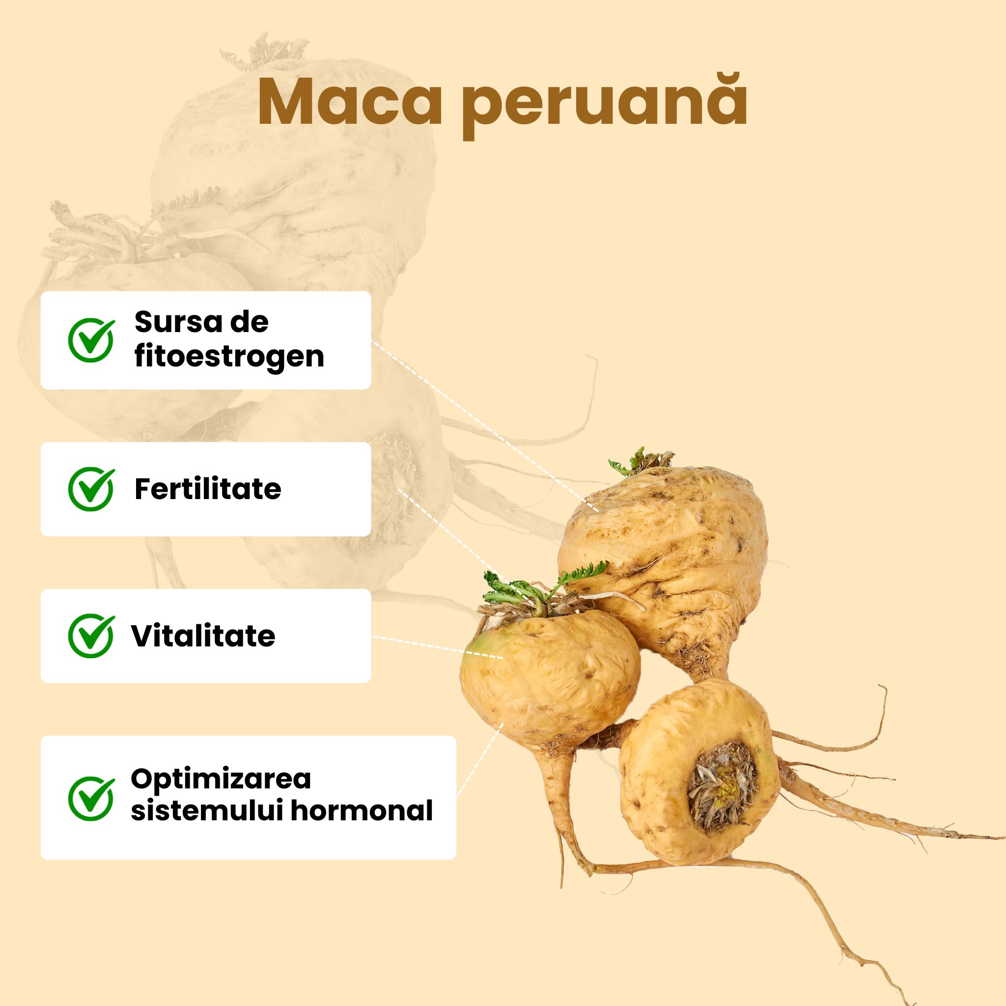 (Rumunština) Maca peruanska
